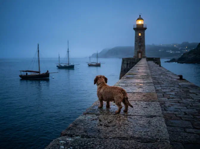 Playing to Win: The Strategy Cascade as a Forcing Function