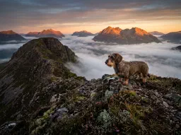 Wardley Maps: Situational Awareness for Product Leaders in the AI Era