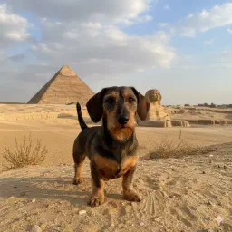 Elements of Value Pyramid: Interesting Theory, Limited Practice