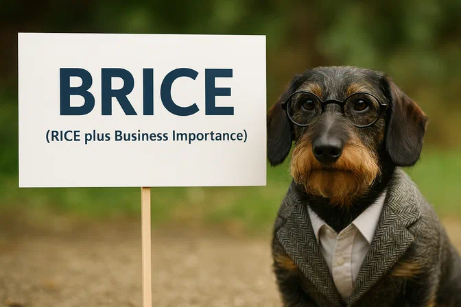 BRICE Prioritisation: RICE Plus Business Importance