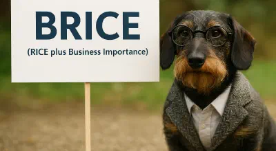 RoadmapOne – Roadmap Planning & Governance for Product Teams